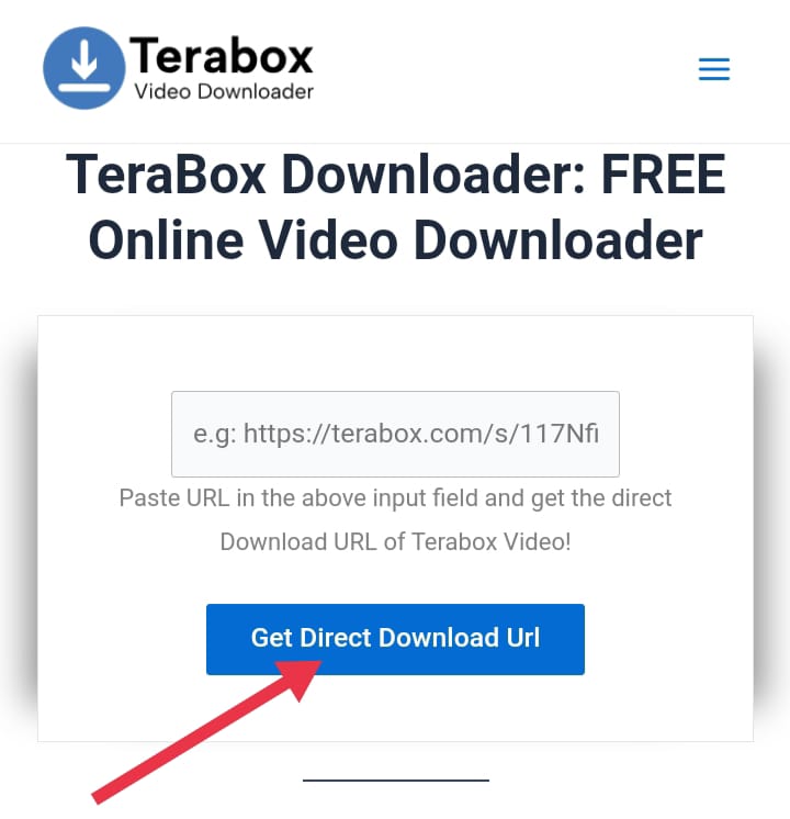 Terabox Downloader